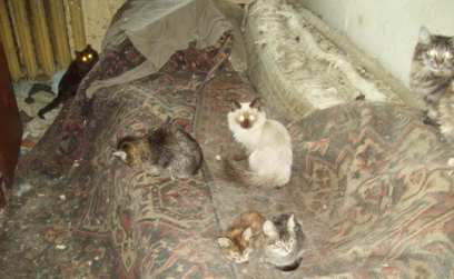 � ����-��� � ����������� ����� ��� �������� 50 �����