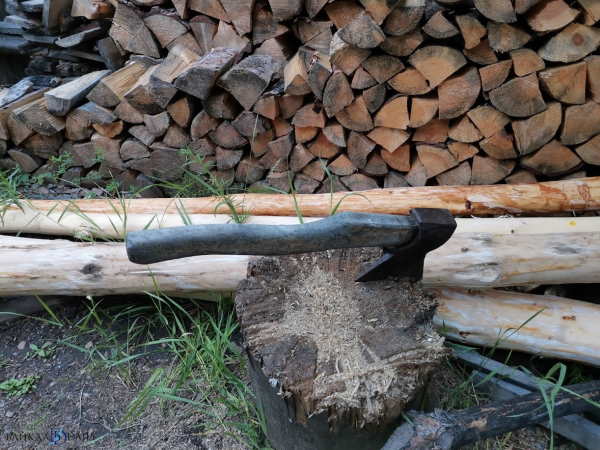 Житель Бурятии вырубил деревья в нацпарке на 320 тысяч рублей