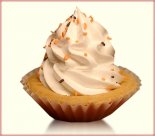 � ������� 23 �������� ���������� ��������������, ���� �������� � ������