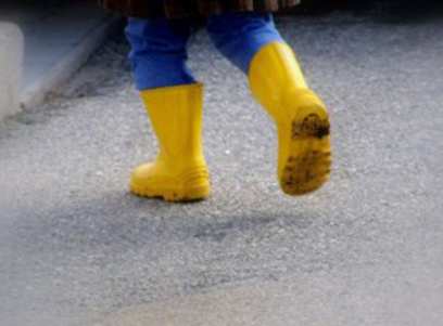 � ������� ��� ���� ���������� ���� ��� ����� ������