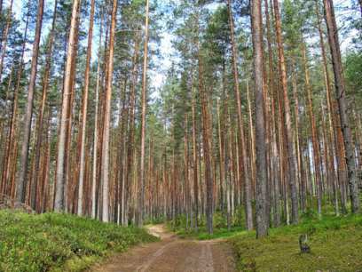 � ������� ������� ����������� �����