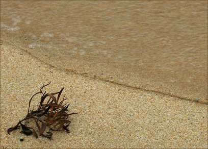 � ������� ���� ��������� ������� ����� ������� �������� � ������� � ������ �� �����