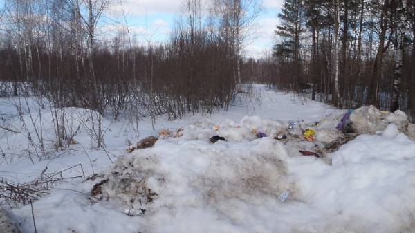 В Бурятии лесники ликвидируют 95 свалок