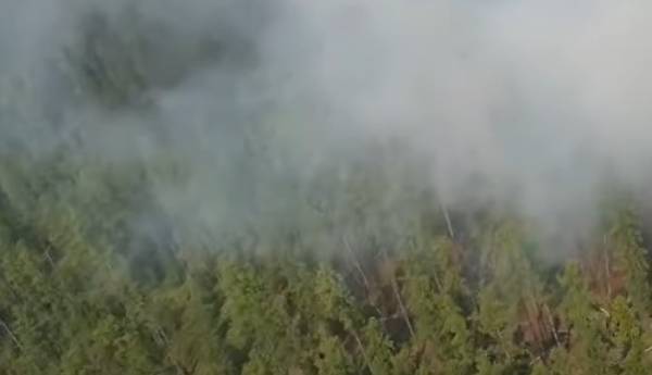 В Иркутской области будут судить виновника лесного пожара с ущербом 98 млн 