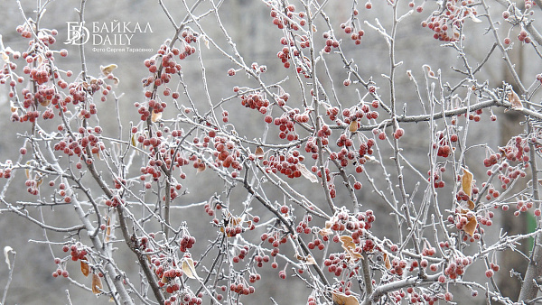 В Улан-Удэ временами слабый снег