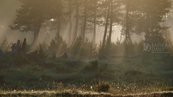 ���� ������ ����-��� ������� � �������������� �������