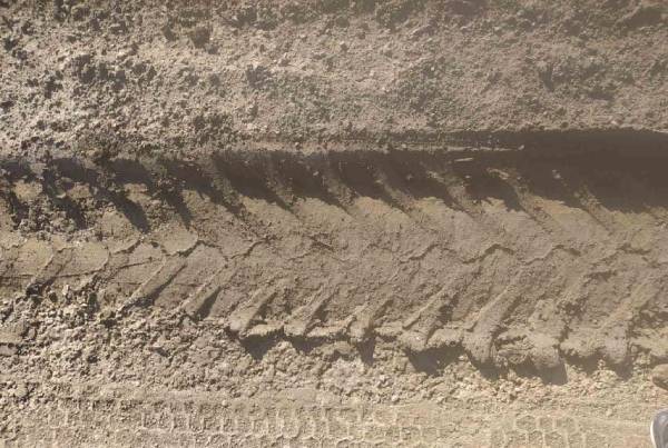 В Бурятии «чёрного» лесоруба вычислили по следам грузовика 