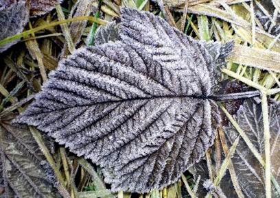 ������� ���� ����� � ���������