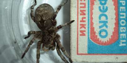 ����-������ ��������� ��������� ����������