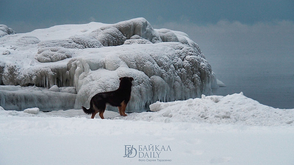 ������� ���������� ������������ � ������� �����