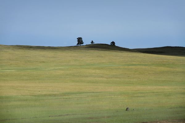 ������� �� ���� ����������