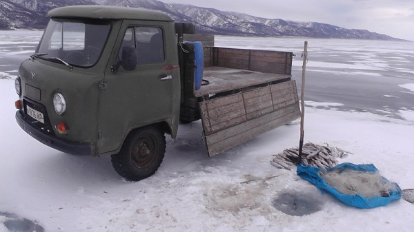 В Иркутской области браконьер выловил омуля на 270 тысяч 