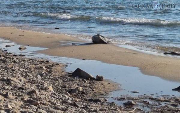 В Бурятии обокрали мужчину, уснувшего на берегу Байкала 