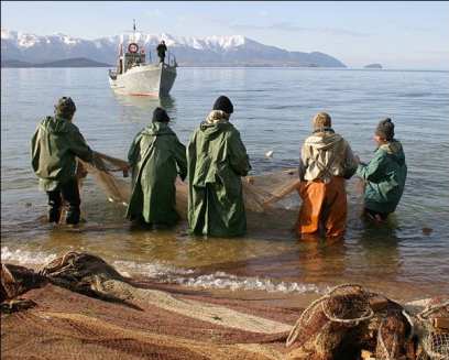 � ������� ������� �� ������� �������� ����������� ����������� ������� � �����