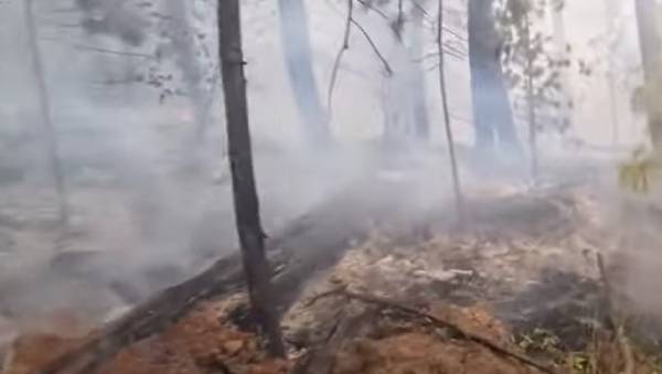 В Бурятии потушили три лесных пожара 