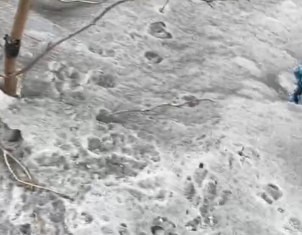 В Улан-Удэ дети лепят чёрных-чёрных снеговиков