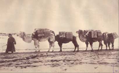 ����� �������� � ����-��� ���������� ��������