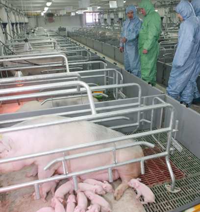 ����� ������� �������� ������������� ������� ������  