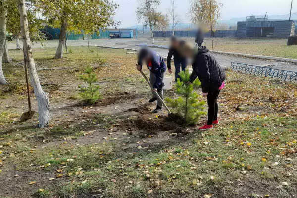 В Бурятии осуждённые участвовали в посадках деревьев