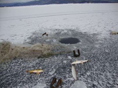 ������ ������� ������ ��������� ��������� �� 15 ���