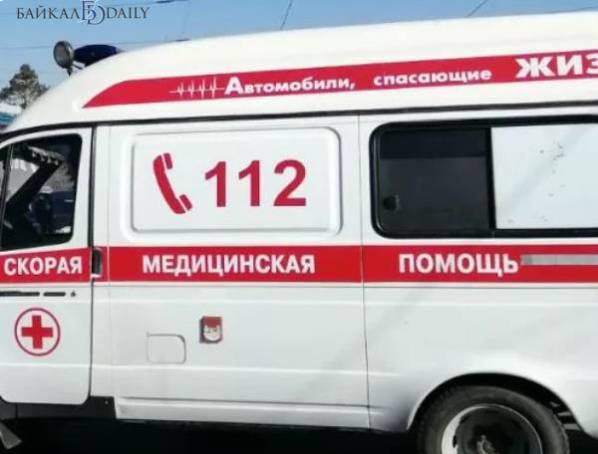 Собаки в Бурятии стали реже кусать людей