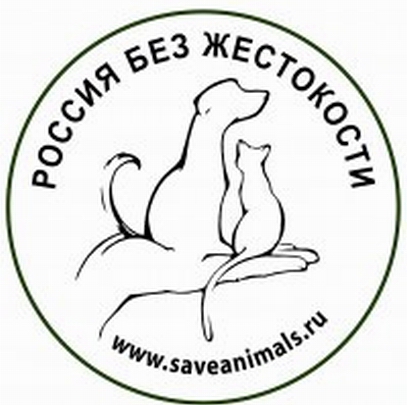 ����-��� ������������� � ����� � ������ ��������