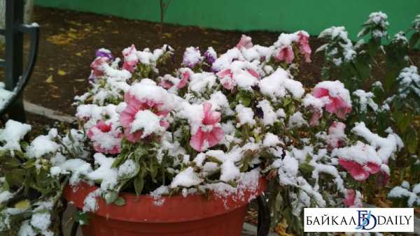 В Улан-Удэ сегодня днём ожидается мокрый снег 