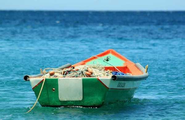 Двум жителям Бурятии назначили обязательные работы за незаконную рыбалку