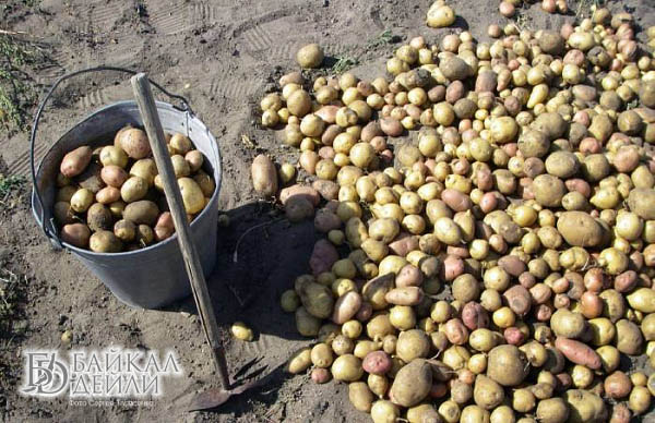 � ������ ������� ������������� ������� ������� ��������� ������ 