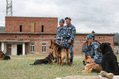 � ������� ������� �������� � ������ ��������� �������