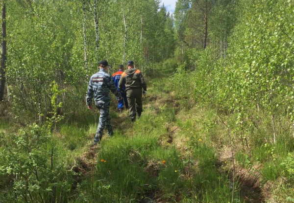 В Иркутской области нашли заблудившихся в лесу женщину с ребёнком 