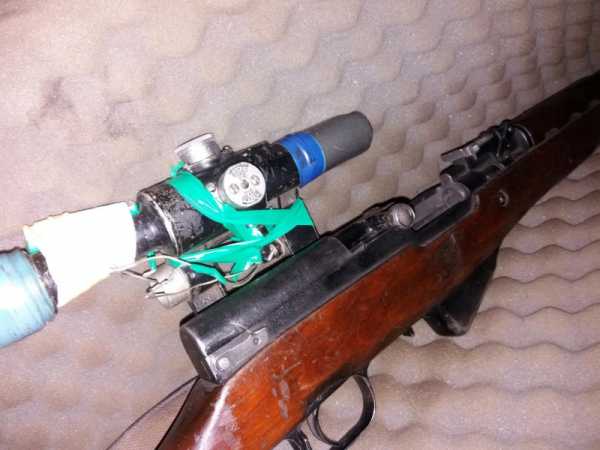 В Забайкалье мужчина подстрелил краснокнижную антилопу 