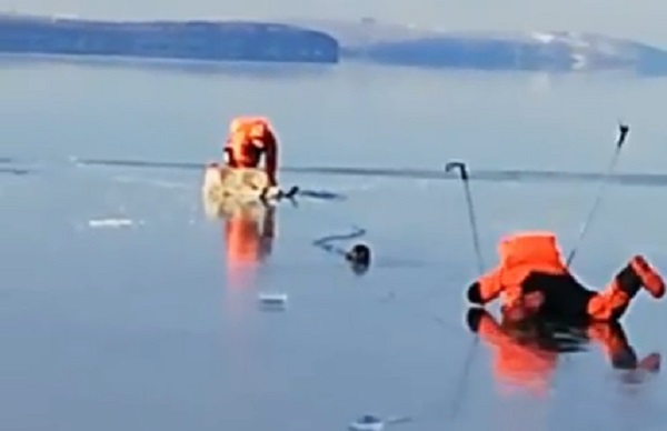 В Иркутской области спасатели вытащили со льда испуганного хаски 