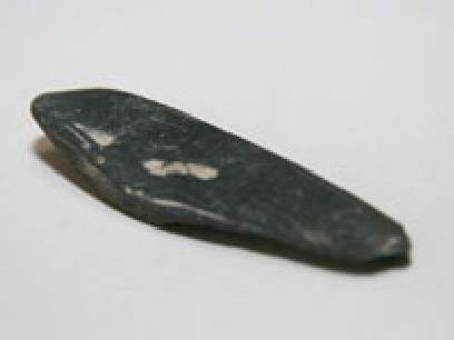 � ��������� ������� ����� �������� ��������� ����� ����� ����� ���