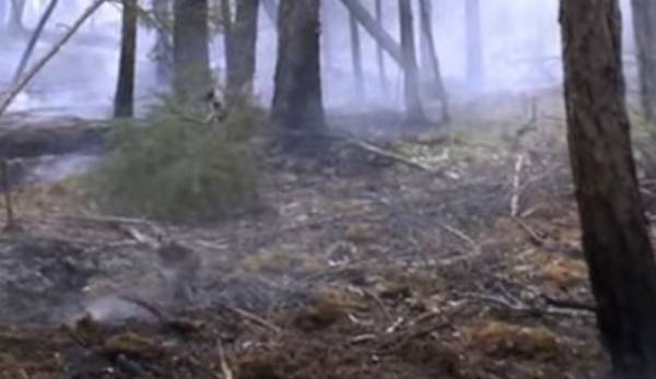 В Бурятии потушили два лесных пожара 