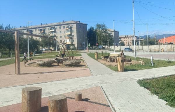 В Гусиноозёрске популярный сквер «захватили» бродячие собаки