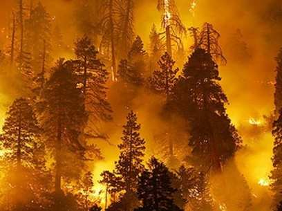Долги мешают Бурятии готовиться к лесным пожарам