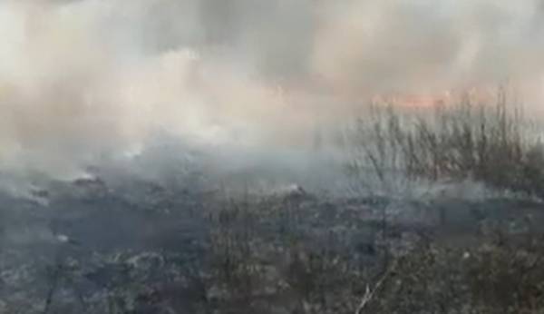 В Бурятии 95 человек потушили лесной пожар