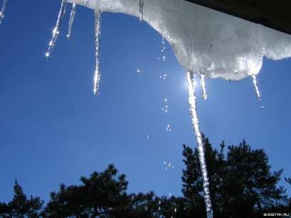 � ����-��� ���� ��������� ���� ������ ��������