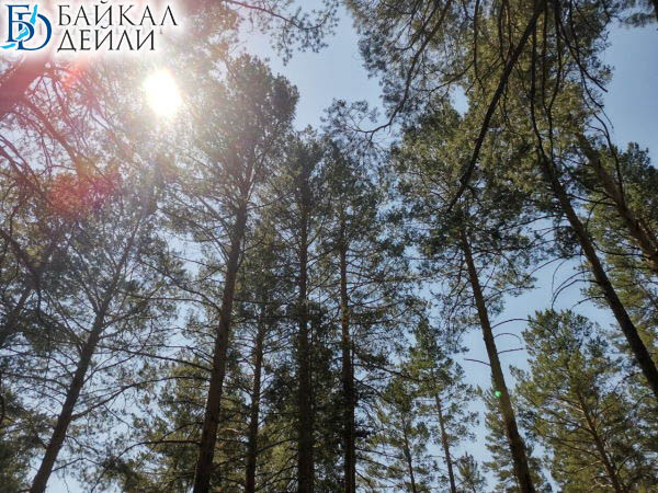 � ���������� � �������� �������� ������������ ������ � ���������