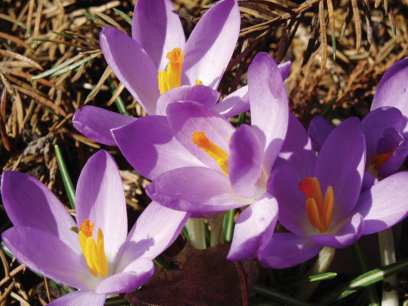 ������ � ����-��� ������� ���� ������ � ���� ��������