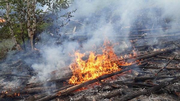 В Бурятии из-за грозы случился лесной пожар