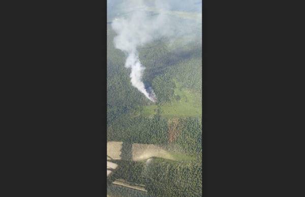 В Бурятии потушили все лесные пожары, кроме одного 