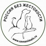 ����-��� ������������� � ����� � ������ ��������