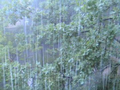 � ������� ��������� ��������� ������