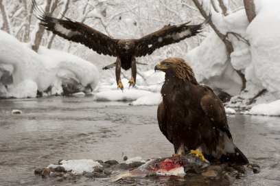 �������� �� ������� ���� ������� �������� ������ ������