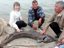 � ������� � ������� �������� ������ � �����������