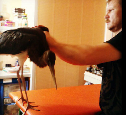 ������� ����� � ������������ ������ ����� �� ������� 