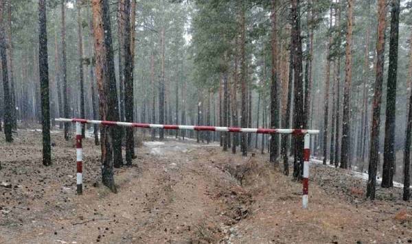 В лесах Улан-Удэ устанавливают шлагбаумы 
