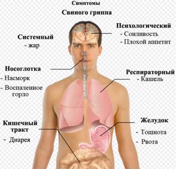 ������ ������� � ������� ����� �������� ����� ����� ����� �������